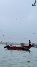 تور ماهیگیری