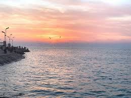 گشت‌وگذار در سواحل بوشهر