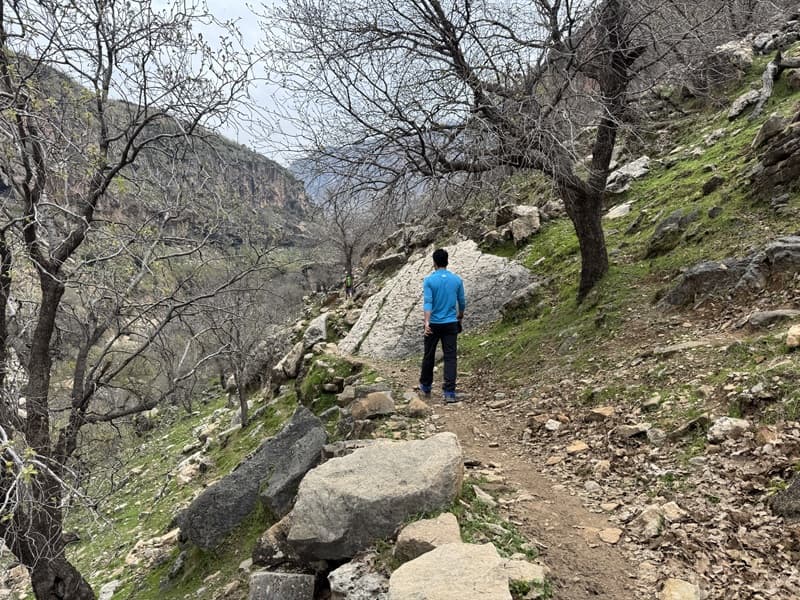 تور کول چپ
