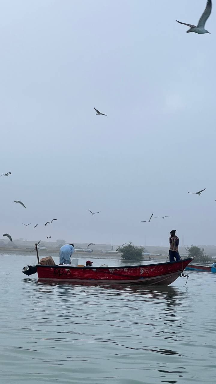تور ماهیگیری
