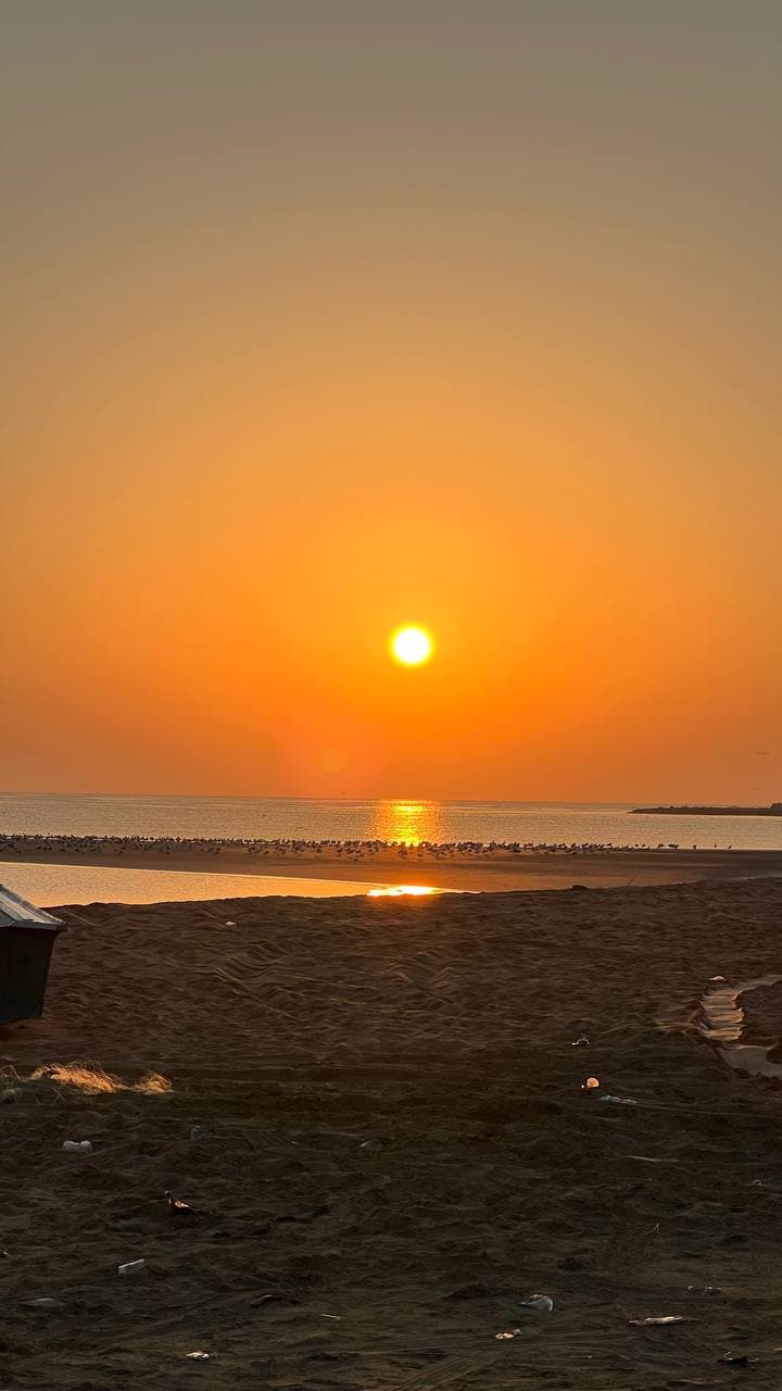 ماهیگیری یک روزه